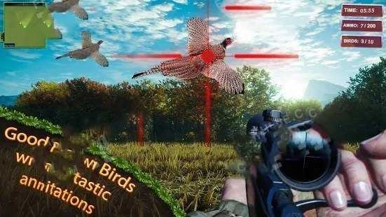 猎鸟猎人(Bird Hunting and Shooting game)