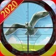 猎鸟猎人(Bird Hunting and Shooting game)