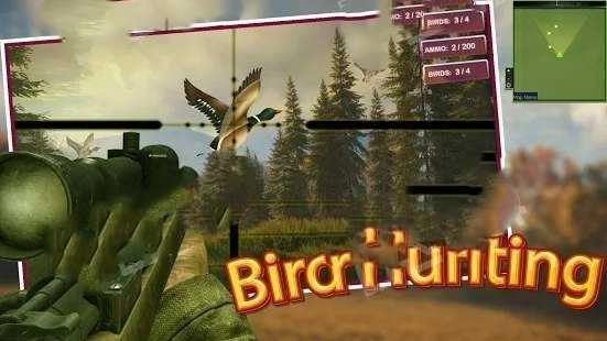 猎鸟猎人(Bird Hunting and Shooting game)