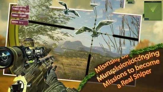 猎鸟猎人(Bird Hunting and Shooting game)