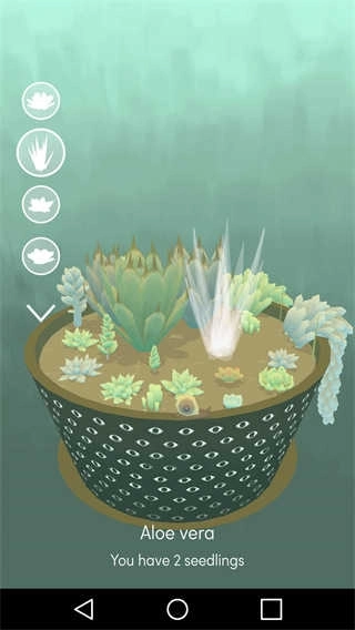 电子盆栽(Viridi)(4)