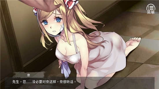 奈的教育日记冷狐汉化版