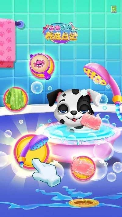 宠物狗狗养成日记(2)