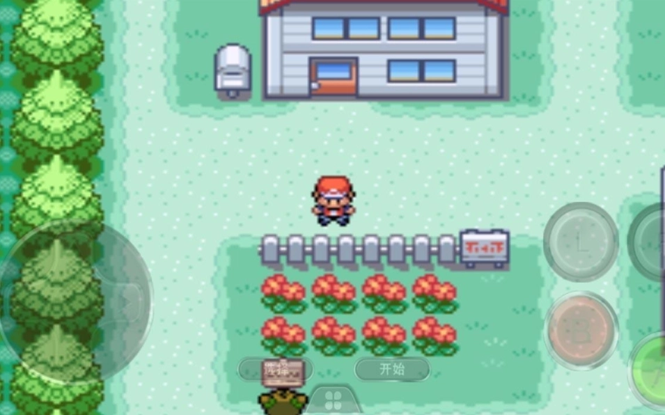 口袋妖怪幕欲之光(1)