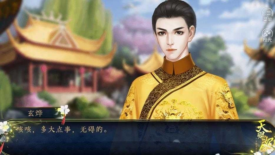 天赐妃命完结金手指