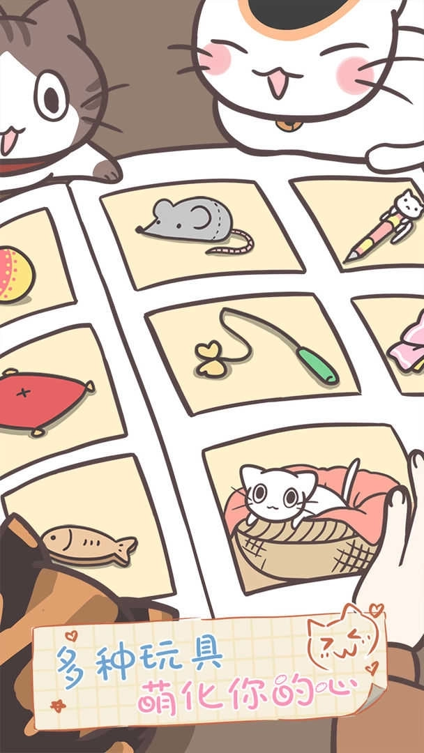 猫咪饲养日常(1)