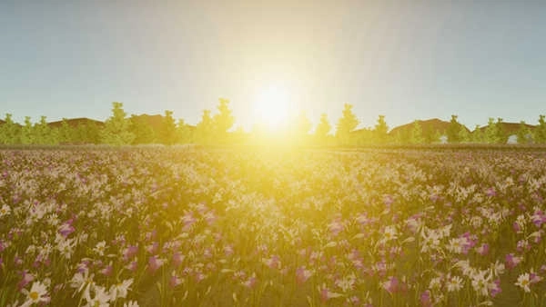 我的乡村生活最新版