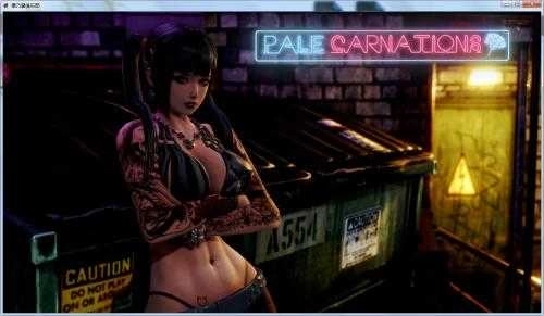 康乃馨俱乐部最新版