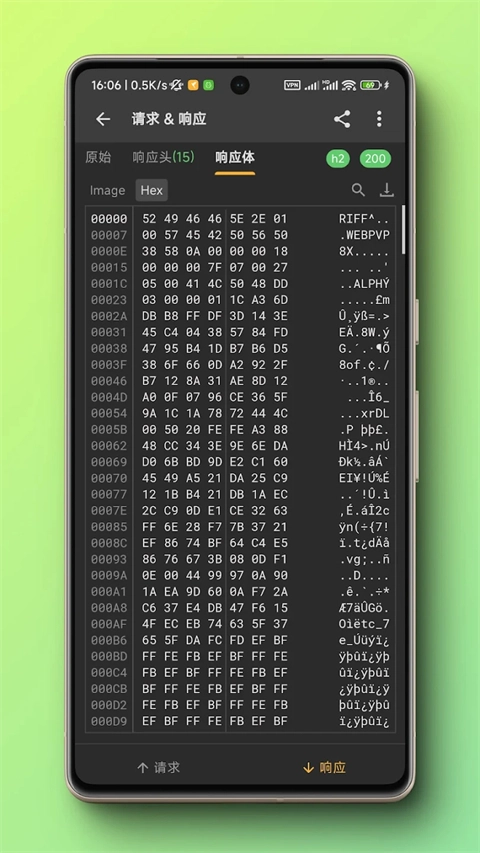 小黄鸟抓包软件图2