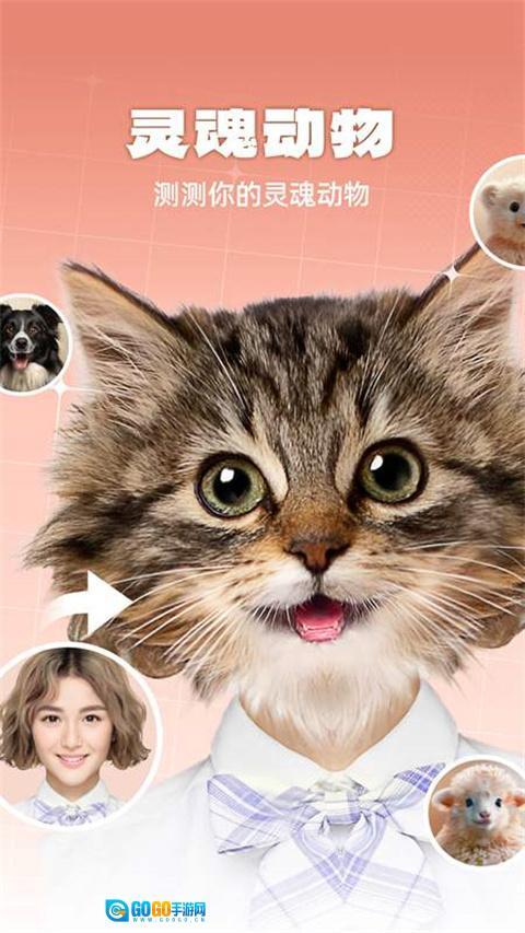 灵魂宠物图3