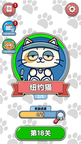 找猫猫(3)