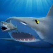 海底饥饿大猎杀