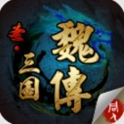 圣三国魏传