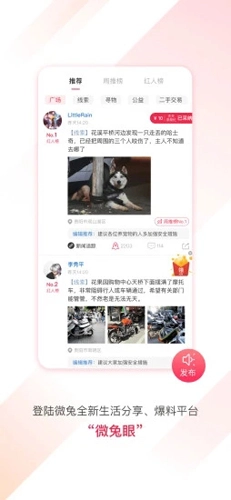微兔gogo图1
