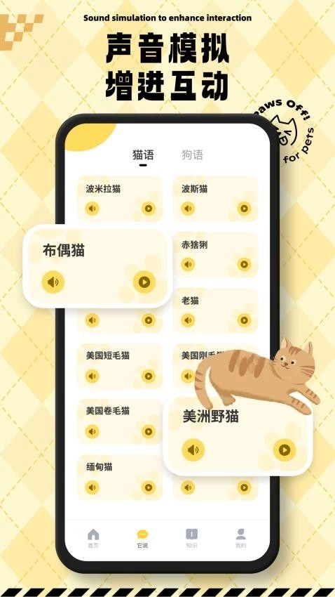 猫狗翻译交流通图3