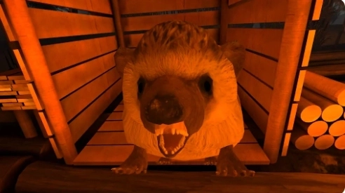 与海狸共度的五夜(2)