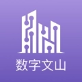 数字文山