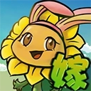 植物大战僵尸嫁接版