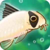 Pondlife安装器游戏