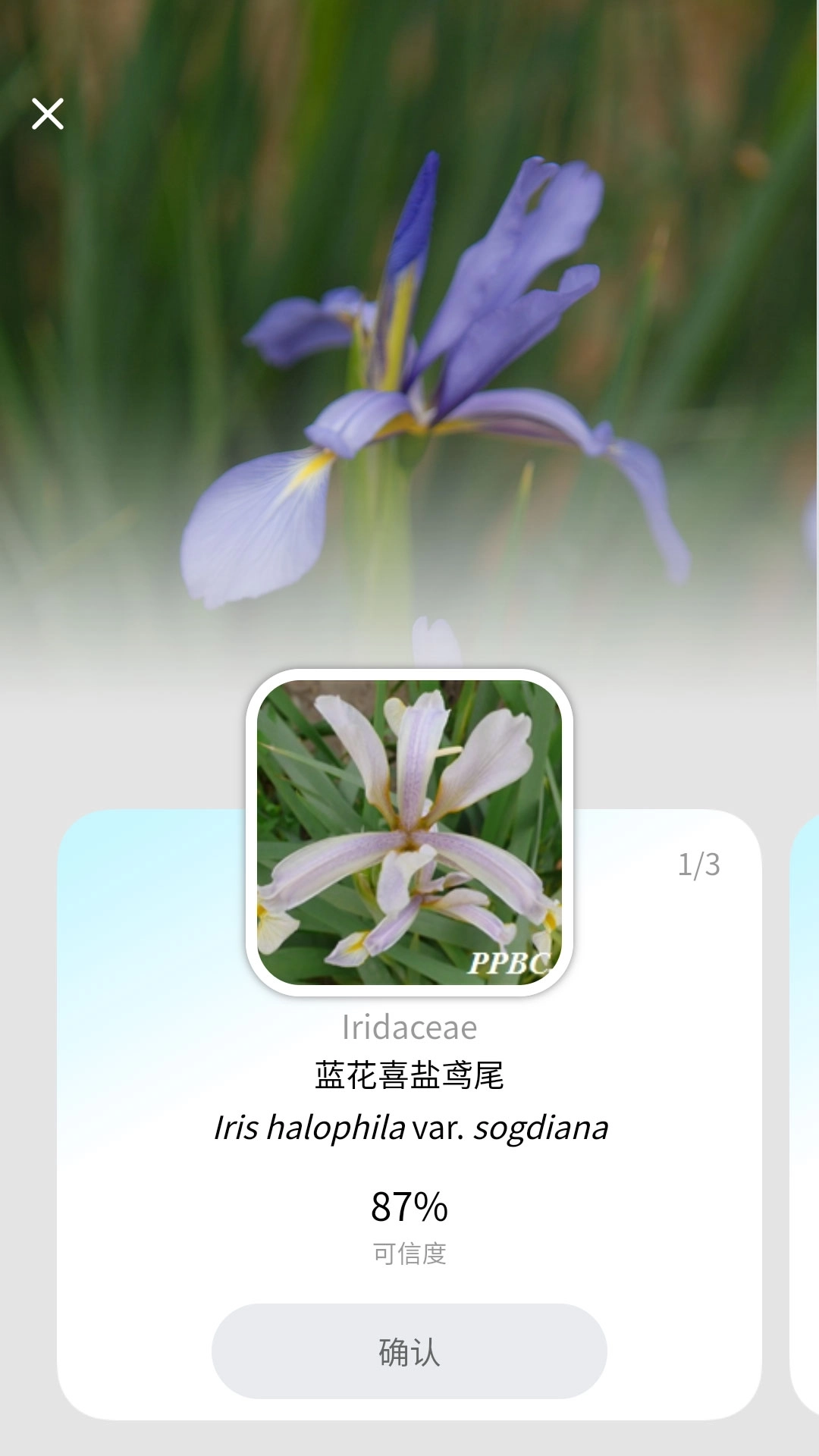 植物智图2