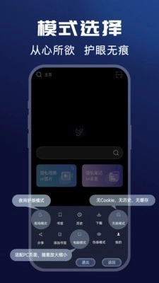 隐私浏览器正版图4