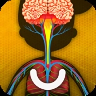 人体是如何运作的游戏