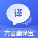 方言即时翻译中文版