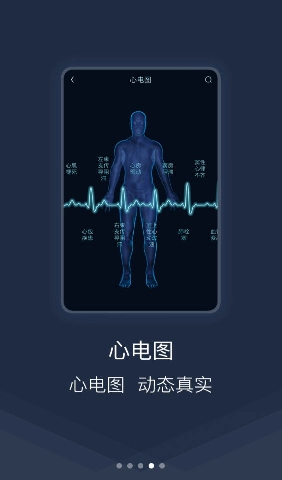 医学图谱王安卓版图2
