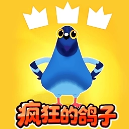 疯狂的鸽子挑战游戏