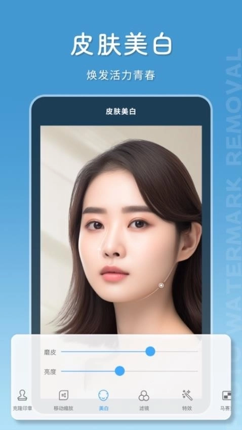 马赛克去除大师图2