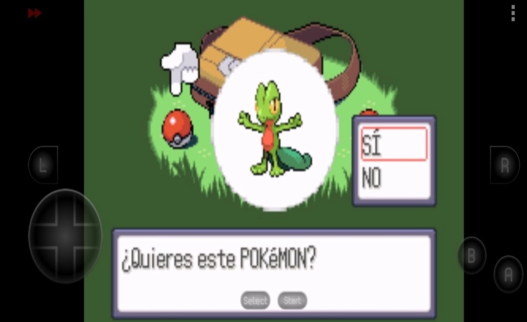 口袋妖怪红宝石汉化版图2