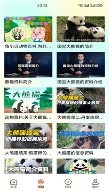 小熊猫CZR图3