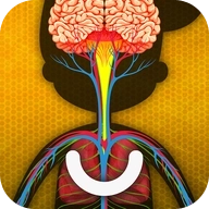 人体是如何运作的？安装器