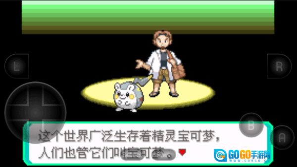 口袋妖怪究极绿宝石图1