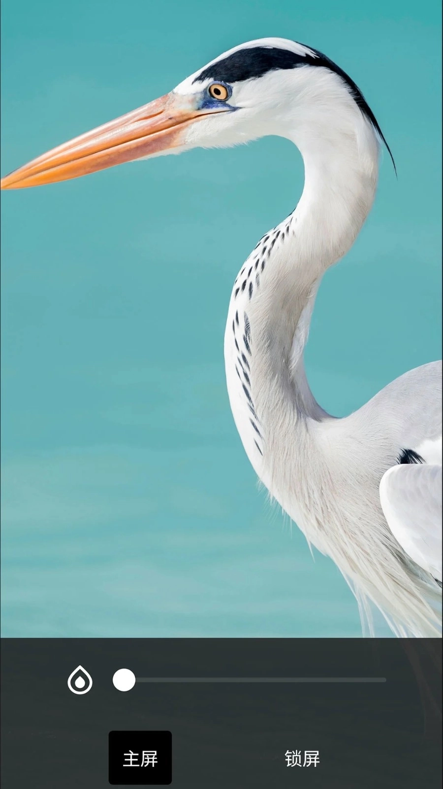 百宝宝盒手机版图1