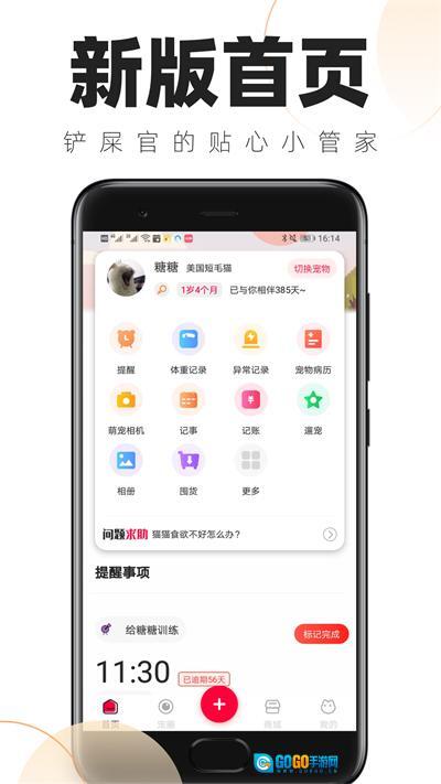 铲屎官的日常图3