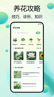 闪用识花图3