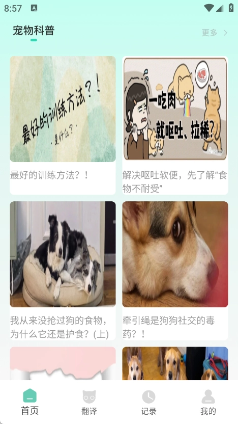 游猫猫图2