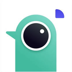 遥望壁纸官方版V1.2.5