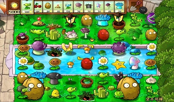 植物大战僵尸随机模仿者版图4