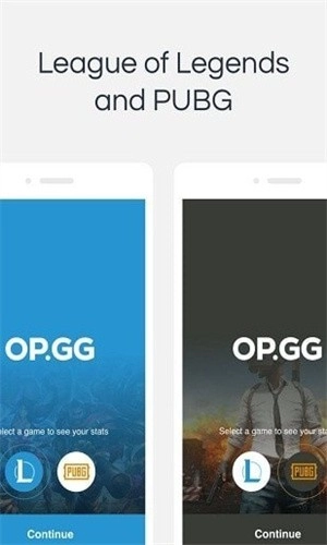 OPGG图2