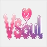 VSoul中文版