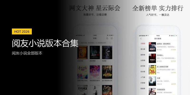 阅友小说版本合集