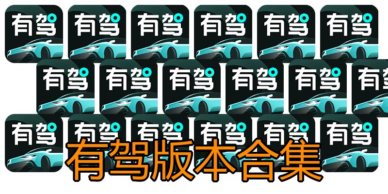 有驾版本合集