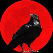 乌鸦之霜 v1.2.18