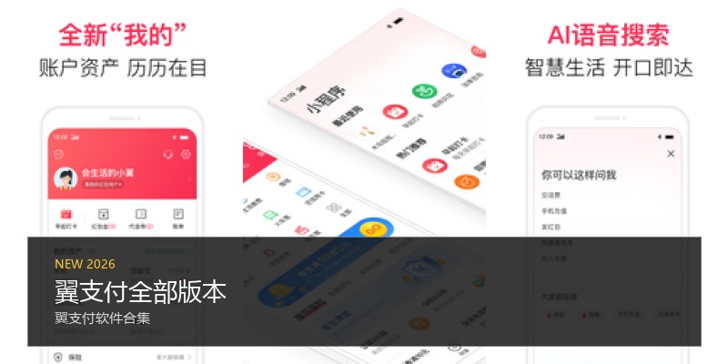 翼支付全部版本