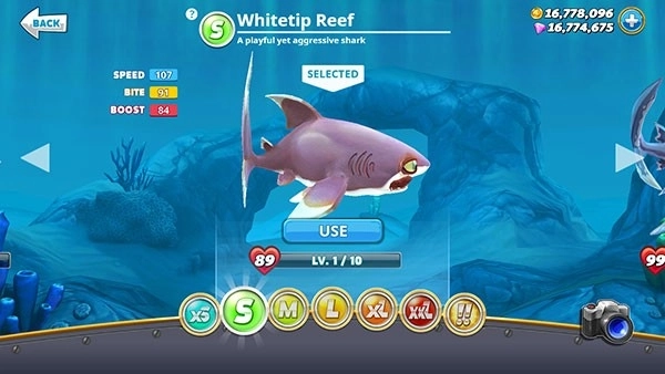 饥饿鲨世界国际版(6)