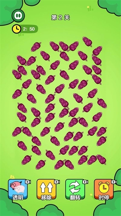 一飞冲天的猪仔(3)