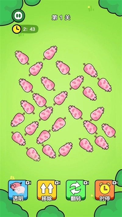 一飞冲天的猪仔(2)