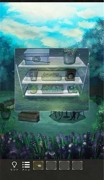 逃出神秘森林(謎の森)